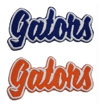 Florida Gators Text  Embroidered Applique Iron On Patch Various Sizes Cu... - $134.03 MXN+
