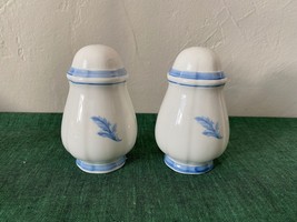 Villeroy &amp; Boch Casa Azul SALT and PEPPER SHAKER Made in Germany Luxembourg - $79.99