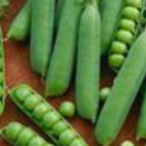 USA Seller Early Frosty Peas Garden Seeds Garden Seeds Naturally Grown Non-Gmo - $13.58