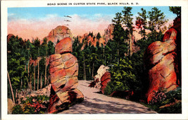 Road Scene In Custer State Park Black Hills South Dakota Vtg Postcard B4 - £4.35 GBP