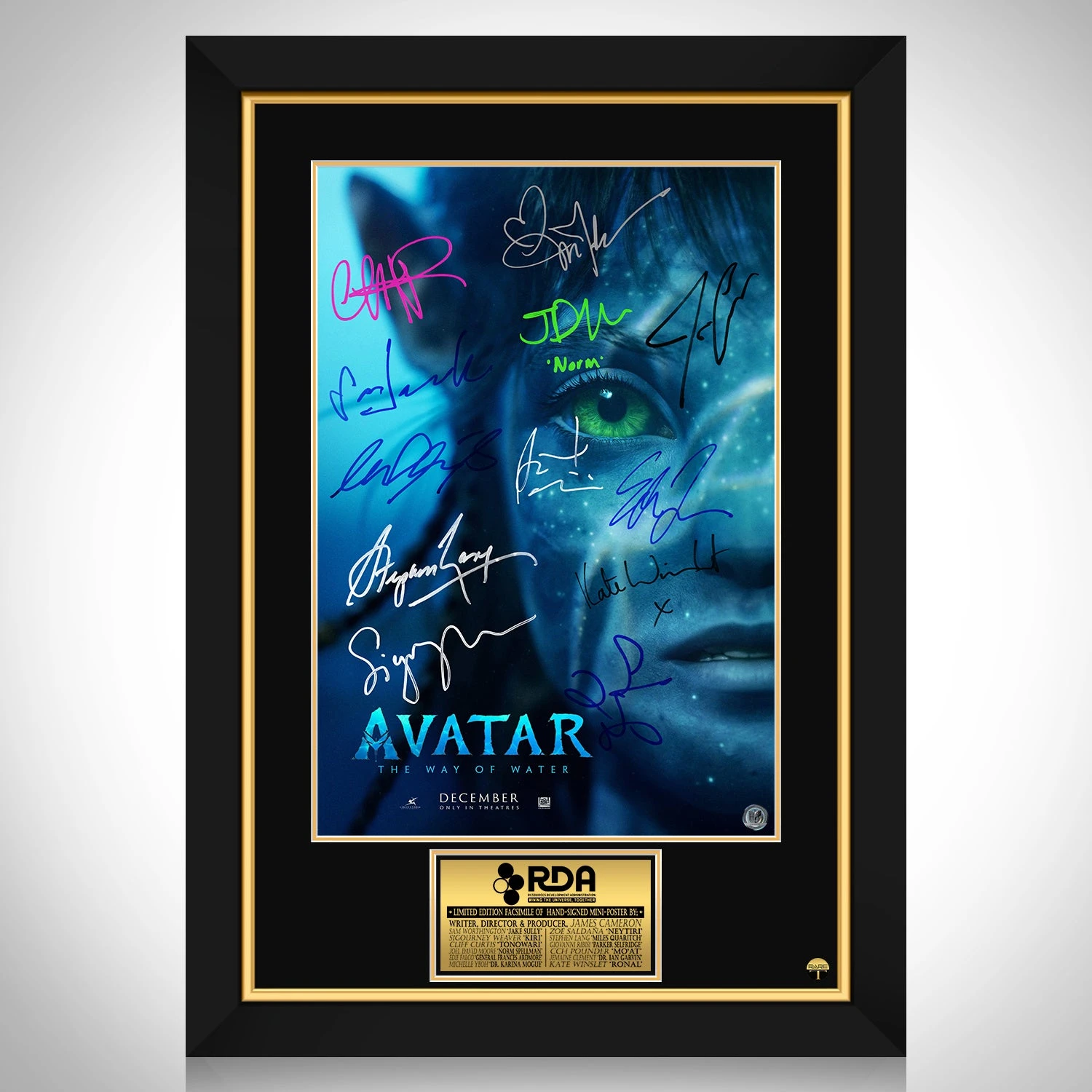 Avatar the Way of The Water Mini Poster Limited Signature Edition Custom... - $309.73