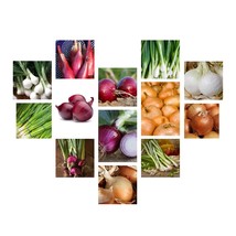 Onion Seeds Collection, NON-GMO, 13 Varieties To Choose From, Free Shipping - £1.32 GBP+