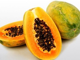 1 Pack 50 Papaya Seeds Chaenomeles Pawpaw Seed Organic Heirloom - $4.08