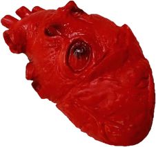 Soft Latex LIFE SIZE FAKE HUMAN HEART Realistic Body Part Halloween Horr... - $14.82