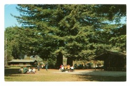 Redwood Camp Mount Hermon California Postcard Christian Conference Center Woods - £12.78 GBP