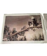 Born to Freedom Bart Lindstrom Listed Signed &amp; Numbered Art Print Vintage - $2,241.65 MXN