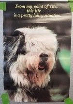 Poster Old English Sheepdog Life is a Pretty Hairy Situation Vintage - $18.95