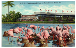 Flamingos and Nests at Hialeah Park Miami Florida Postcard Posted 1947 - £7.08 GBP