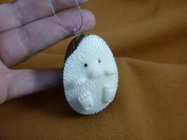 (TNE-HED-636i) Hedgehog hanging on string TAGUA NUT figurine hedgehogs - €21,45 EUR