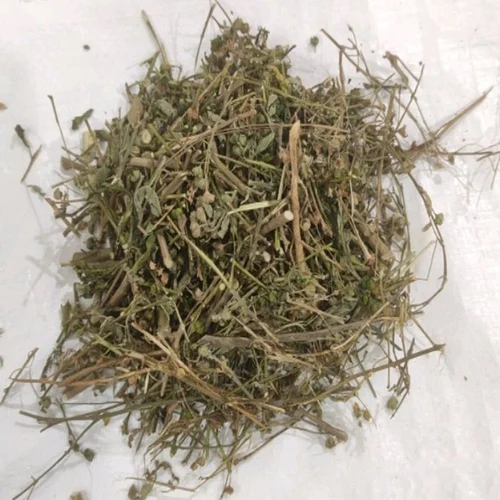 Sankhapushpi Whole Herb - €14,45 EUR+