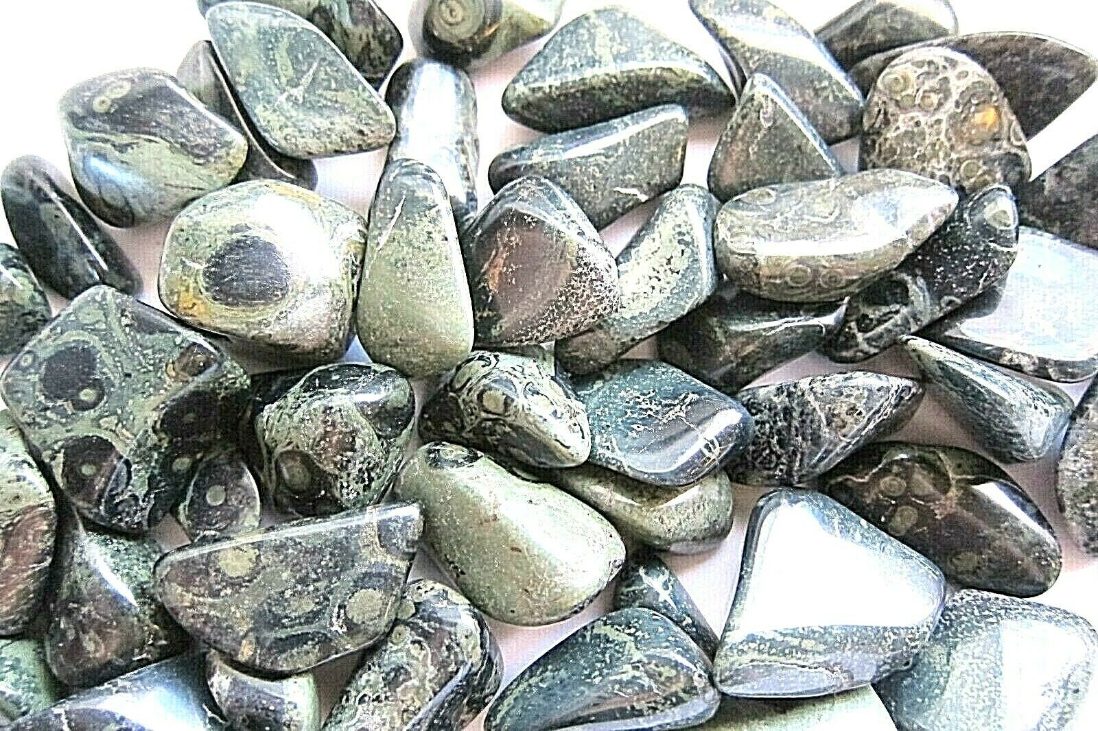 One Crocodile Jasper Tumbled Stone XL 30-40mm Healing Crystal Shaman Pro... - $1.93