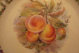 Carnation McNicol 1909 calendar plate with fruits decorations[54] - $59.40