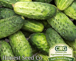 50 Seeds Cucumber Pickling - $10.00