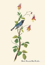 Black-Throated Blue Warbler by John James Audubon - Art Print - £17.29 GBP+