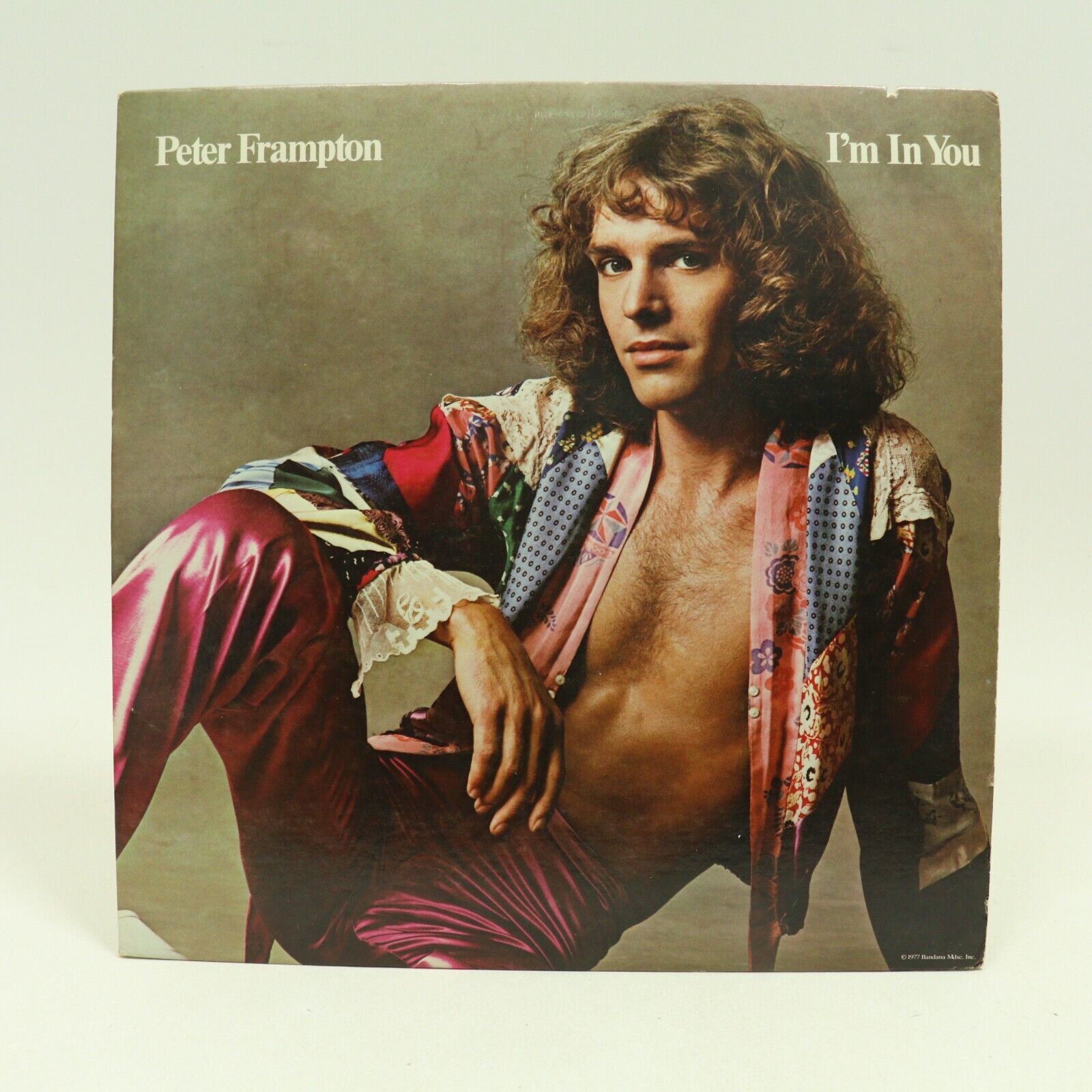Primary image for Peter Frampton I'm In You Vinyl LP 33 Rpm A&M Records SP-4704 1977