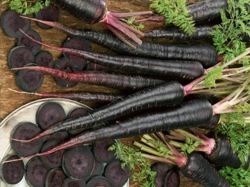 Black Nebula Carrot Seeds (100) / ORGANIC / FLORIDA GROWN / RARE - $12.39