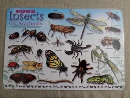 Vintage 2005 Rushkin Bugs Insects &amp; Arachnids Painless Learning Placemat - $13.71