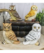 Colorful Nocturnal Owls Of The World Miniature Figurine Set of 4 Owl The... - €20,58 EUR