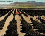 A Colorado Fruit Ranch CO Postcard PC7 - £4.00 GBP