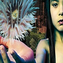 Lifeforms [VINYL]  - $77.00