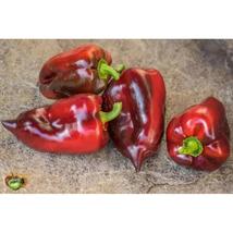 25+ Hungarian Black Sweet Pepper Seeds – Rare Heirloom Mild Variety - $16.50