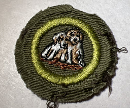 DOG CARE TYPE E MERIT BADGE  KHAKI   BOY SCOUTS - £9.53 GBP