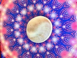 DIVINE Shri Laxmi Ganesh Vaikunth Chakra World’s Most Powerful Good Luck... - $1,439.72 MXN