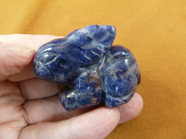 (Y-BUN-SI-701) Blue Sodalite BUNNY RABBIT gemstone carving HARE statue rabbits - $17.53