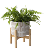 Ceramic Plant Pot with Wood Stand - 7.3 Inch Modern round Decorative Flo... - $46.27