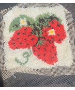 Strawberry Latch Hook Rug Decor Completed 20&quot; x 18&quot; - $9.47