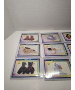 SERIES 1 - Beanie Baby Card Lot (29 Cards) in hard card protectors - $13.88 CAD