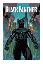 Black Panther: A Nation Under Our Feet TPB ORIGINAL Vintage 2016 Marvel Comics - £11.84 GBP