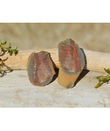 Carboniferous Fern Leaf Fossil in Shale Complete Pair 13g from Missouri USA - $34.30 CAD