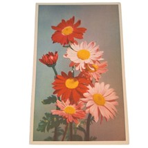 Postcard Valentines Day Flowers Daisies Chrome Unposted - $4.84