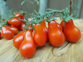 Vpf 30+ Red Pear Tomato Seeds -- Heirloom -- Non Gmo --- Fresh - $2.35