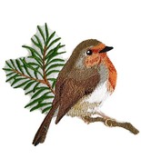 Nature Weaved in Threads, Amazing Birds Kingdom [Single European Robin Bird ] [C - $12.86