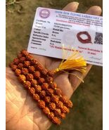 2 Pc LAB CERTIFIED 5 Mukhi RUDRAKSHA Rudraksh Mala ROSARY 108+1 Beads 6 mm - $39.23