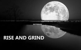 Item image 1 image 1