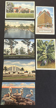 Lot Of 7 Vintage Postcards - Unposted  - Florida  - Early  1900s - £14.81 GBP