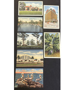 Lot Of 7 Vintage Postcards - Unposted  - Florida  - Early  1900s - £14.69 GBP