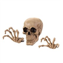 Grinning Skull Skeleton Wall Decor Set - £19.41 GBP