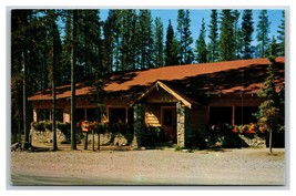 Sunwapta Bungalows Chalet Jasper Park Canada UNP Chrome Postcard U24 - £2.18 GBP