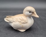 Vintage Homco Duckling Duck Fowl Figurine Small Bird Home Decor Japan - £3.94 GBP
