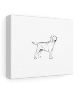 Labrador Retriever Stretched canvas - $14.00+