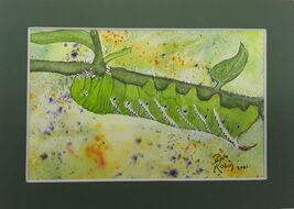 Item image 1 image 1