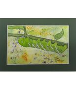 Artwork by Robin Tomato Worm Original Watercolor Painting 5 x 7 Signed 2021 - $50.00