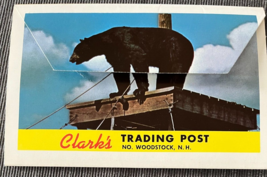 Clark&#39;s Trading Post 6 postcard set Black Bear Rastus Lincoln NH Roadsid... - £15.66 GBP