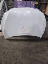 Hood Fits 16-19 SENTRA 1439002 - $5,666.12 MXN