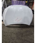 Hood Fits 16-19 SENTRA 1439002 - $5,645.44 MXN