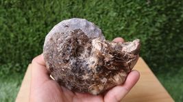 Item image 13